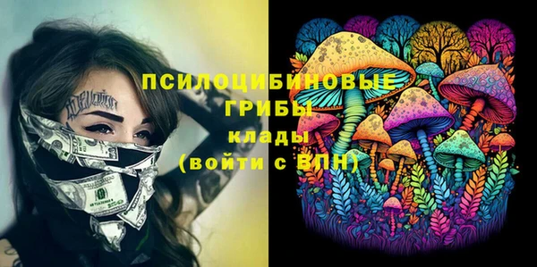 стаф Надым