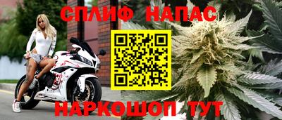 каннабис Гусиноозёрск