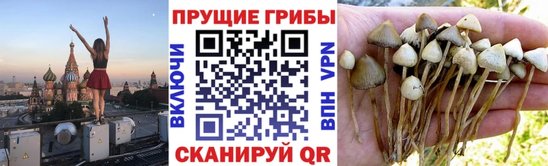 Псилоцибиновые грибы ЛСД Нарткала