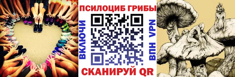 закладка  Нарткала  Галлюциногенные грибы Psilocybine cubensis 