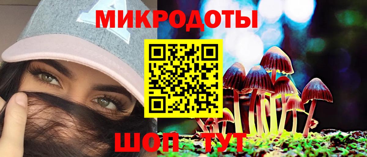 Галлюциногенные грибы MAGIC MUSHROOMS  Вход с VPN  Нарткала 