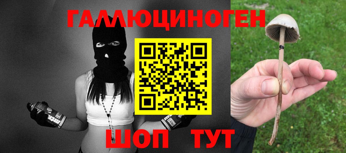 А ПВП Нарткала